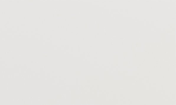 Дверь для ящика ЛАЙТ  35,6х59,6 см ЛДСП цвет Белый перламутр