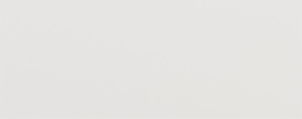 Дверь для шкафа ЛАЙТ 23,6х59,6 см ЛДСП цвет Белый перламутр