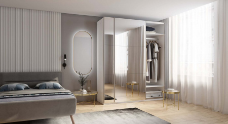 Шкаф-купе с зеркалом ЛАЙТ Е2, 240х160х58, ЛДСП, с полками и штангами