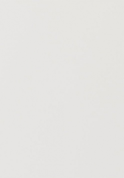 Дверь для шкафа ЛАЙТ 71,6х49,6 см ЛДСП цвет Белый перламутр