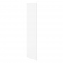 Дверь 230х50 для распашного шкафа шириной 100 см, ЛДСП цвет Белый перламутр