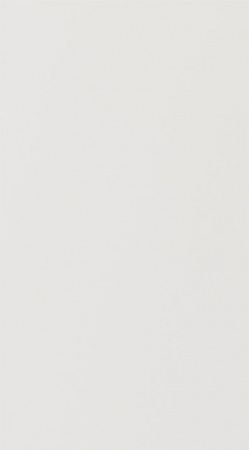 Дверь для шкафа ЛАЙТ 71,6х39,6 см ЛДСП цвет Белый перламутр