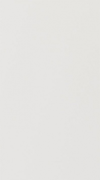 Дверь для шкафа ЛАЙТ 71,6х39,6 см ЛДСП цвет Белый перламутр