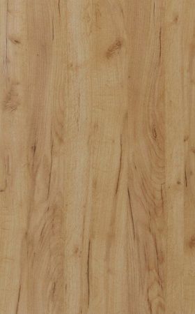 Дверь для шкафа ЛАЙТ 71,6х44,6 см ЛДСП цвет Дуб золотой