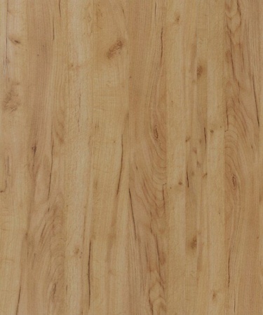 Дверь для шкафа ЛАЙТ 71,6х59,6 см ЛДСП цвет Дуб золотой