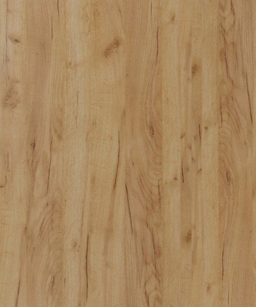 Дверь для шкафа ЛАЙТ 71,6х59,6 см ЛДСП цвет Дуб золотой