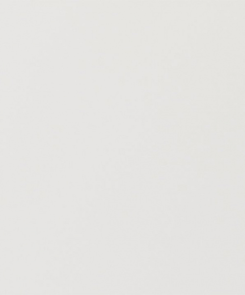 Дверь для шкафа ЛАЙТ 71,6х59,6 см ЛДСП цвет Белый перламутр