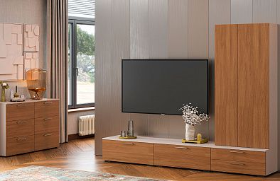 Мебель для гостиной СТРАДА