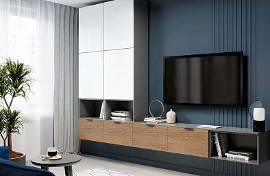 Мебель для гостиной СИНГЛ