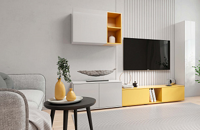 Мебель для гостиной СИМПЛ